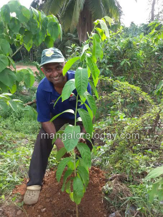 greening Mangaluru 2